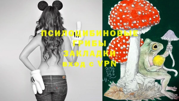 дживик Михайлов
