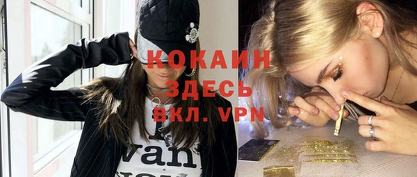 дживик Михайлов