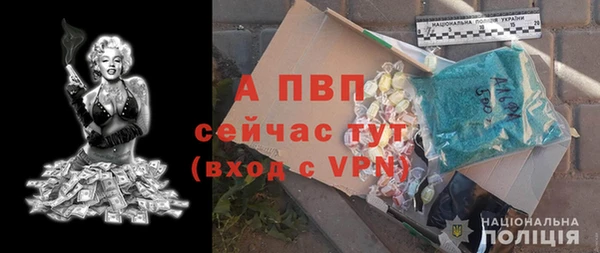 шишки Ачинск