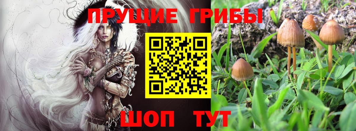 Псилоцибиновые грибы Magic Shrooms Стрежевой