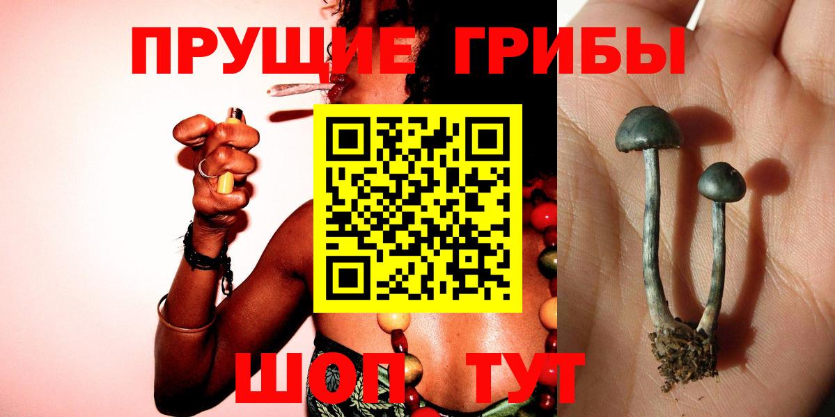 Псилоцибиновые грибы прущие грибы Стрежевой